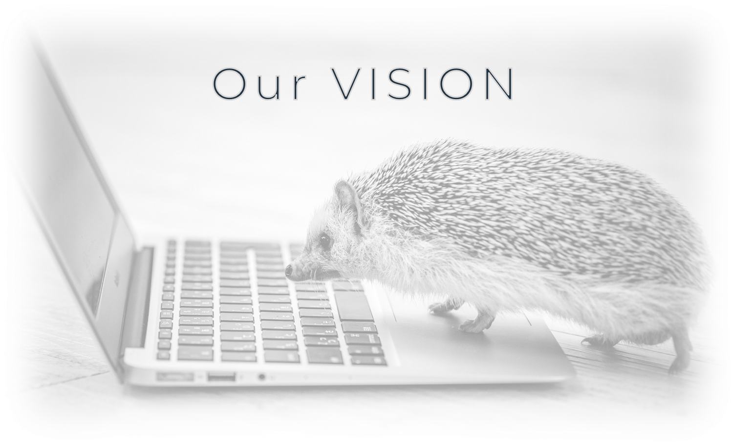 Our Vision